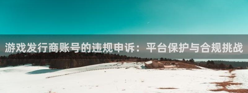 im电竞子经理人：游戏发行商账号的违规申诉：平台保护与合规挑战