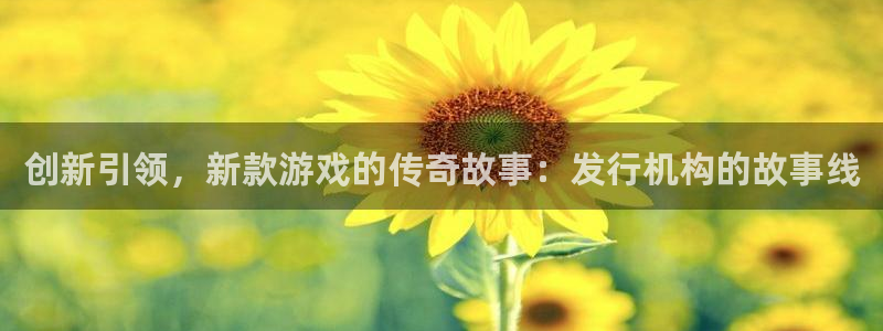 im电竞子的所有小说：创新引领，新款游戏的传奇故事：发行机构的故事线