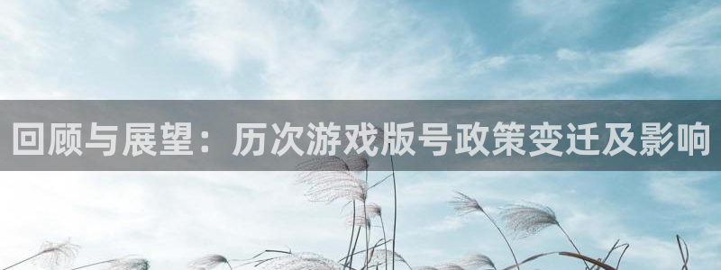im电竞logo：回顾与展望：历次游戏版号政策变迁及影响
