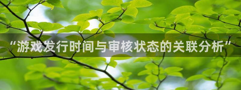 im电竞子图书：“游戏发行时间与审核状态的关联分析”
