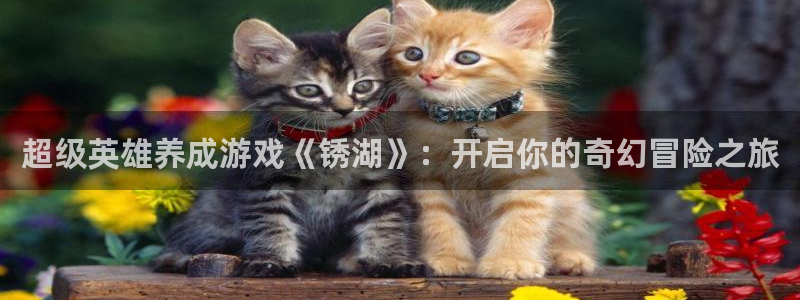 广州im电竞网络科技有限公司