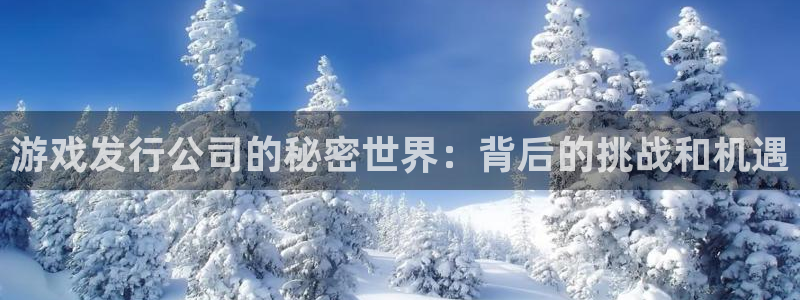 我要看im电竞：游戏发行公司的秘密世界：背后的挑战和机遇