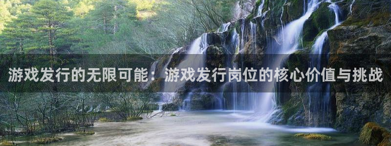 im电竞子财经图书