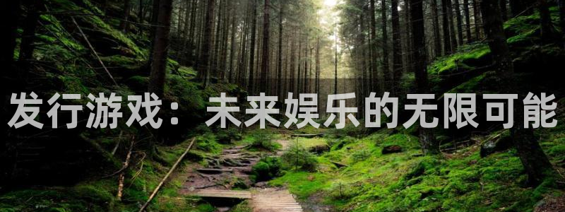im电竞官网游戏平台高奖金玩法