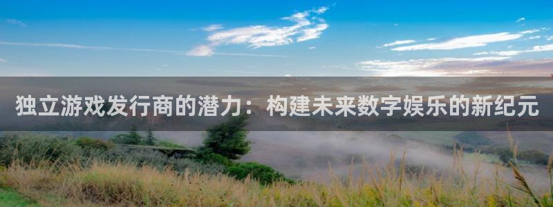 im电竞官网挂机项目怎么样啊：独立游戏发行商的潜力：构建未来数字娱乐的新纪元