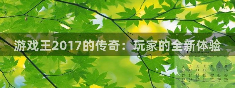 江苏im电竞智得：游戏王2017的传奇：玩家的全新体验