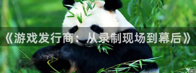 im电竞子集团：《游戏发行商：从录制现场到幕后》
