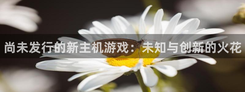 im电竞子市值：尚未发行的新主机游戏：未知与创新的火花