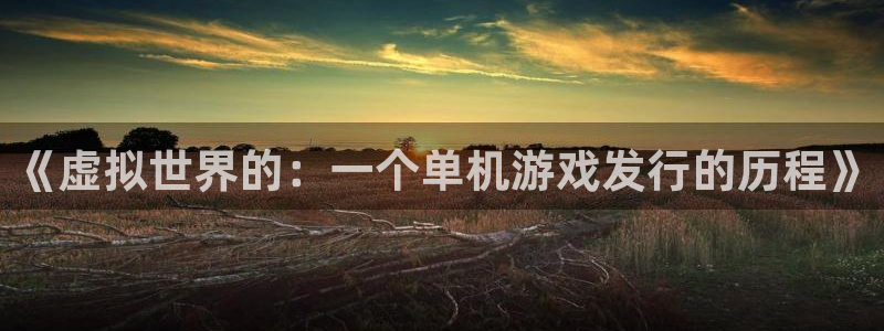 im电竞子最好看的小说：《虚拟世界的：一个单机游戏发行的历程》