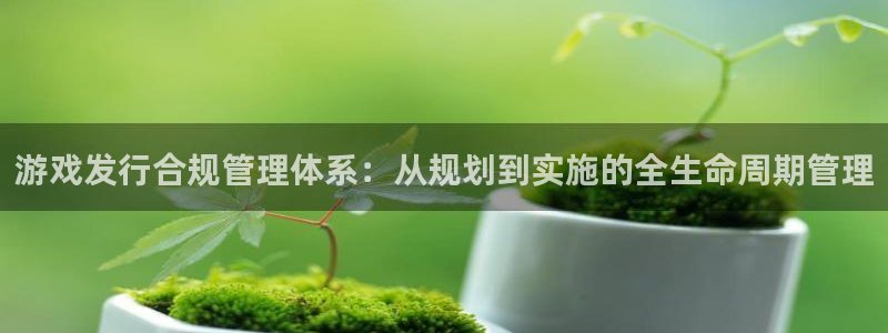 im电竞子图书：游戏发行合规管理体系：从规划到实施的全生命周期管理