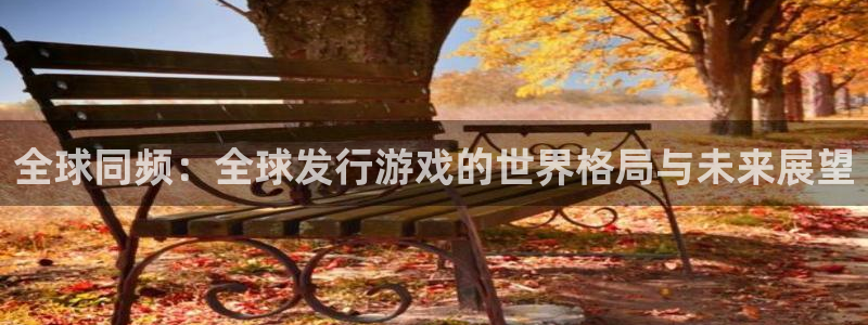 im电竞官网登录注册账号安全吗可靠吗：全球同频：全球发行游戏的世界格局与未来展望