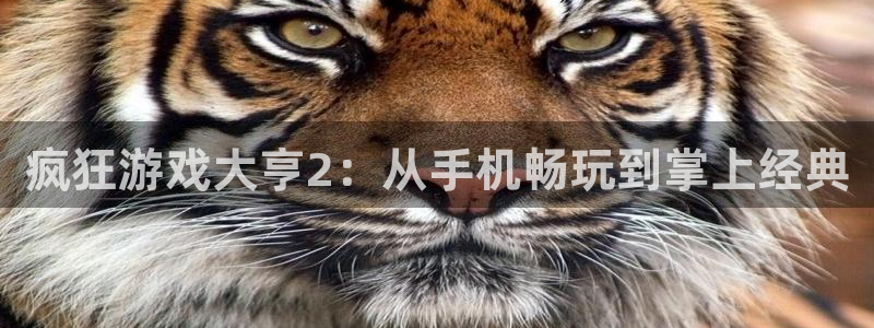 im电竞子财经出版中心
