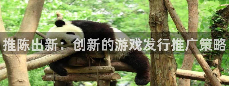 im电竞官网怎么注册账号：推陈出新：创新的游戏发行推广策略
