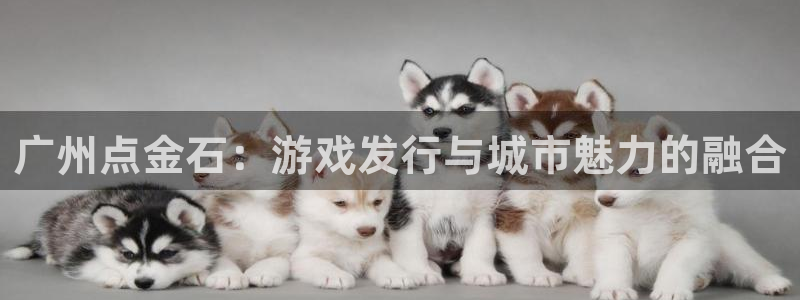 四川im电竞科技有限公司招聘
