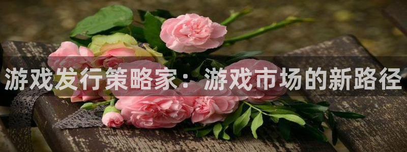 广州im电竞网络科技有限公司