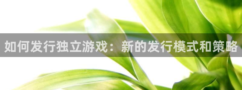 im电竞官网怎么注册账号：如何发行独立游戏：新的发行模式和策略