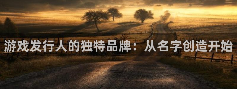 广州im电竞投资管理顾问有限公司：游戏发行人的独特品牌：从名字创造开始