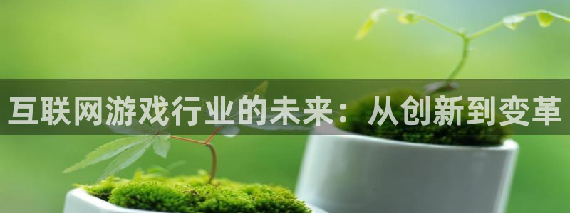 im电竞男装品牌