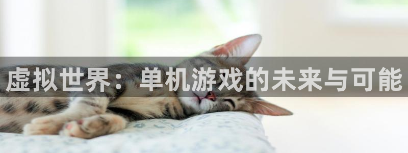 im电竞服装分店有几家