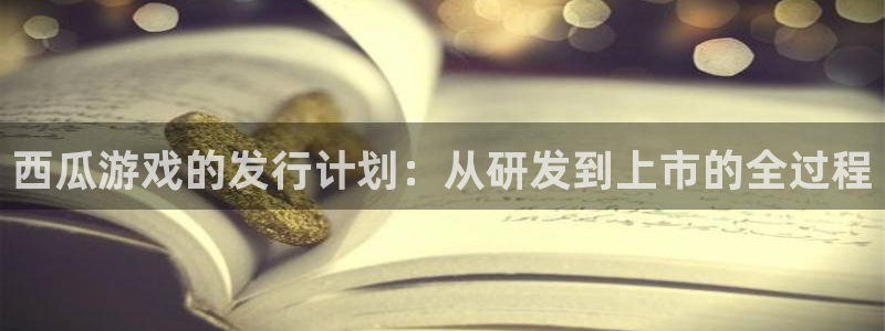 im电竞集团董事长刘一辰简历：西瓜游戏的发行计划：从研发到上市的全过程
