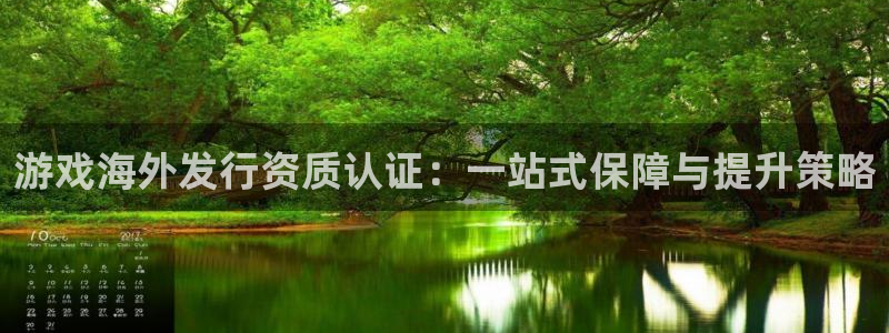 im电竞平台登录入口官网：游戏海外发行资质认证：一站式保障与提升策略