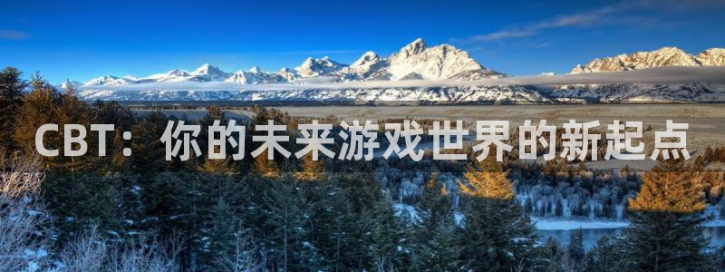 im电竞官网注册平台是什么意思