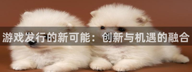 im电竞集团公司怎么样